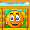 cover orange 2